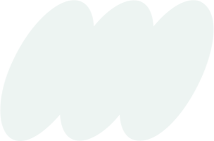 bagetpro